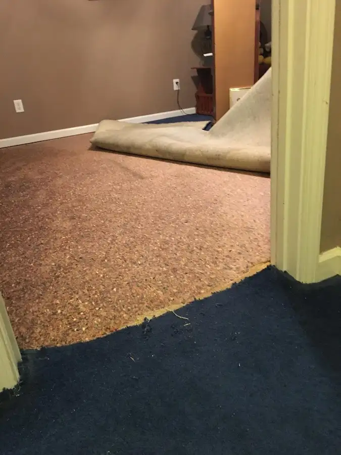 Carpet pad removal revealing water damage during Drying & Dehumidification in St. Petersburg