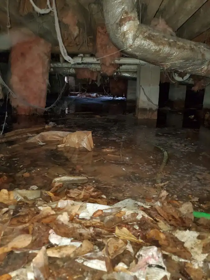 Crawl space flood assessment for Commercial Water Damage Restoration in St. Petersburg