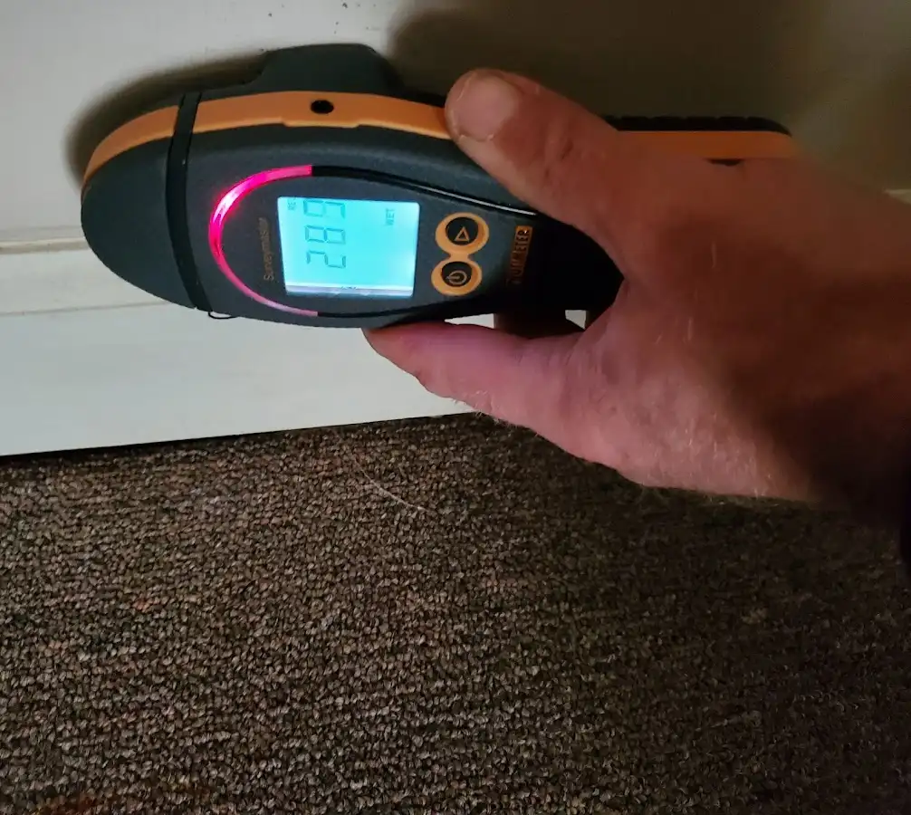 Moisture detection at baseboard during Storm Damage Restoration in St. Petersburg